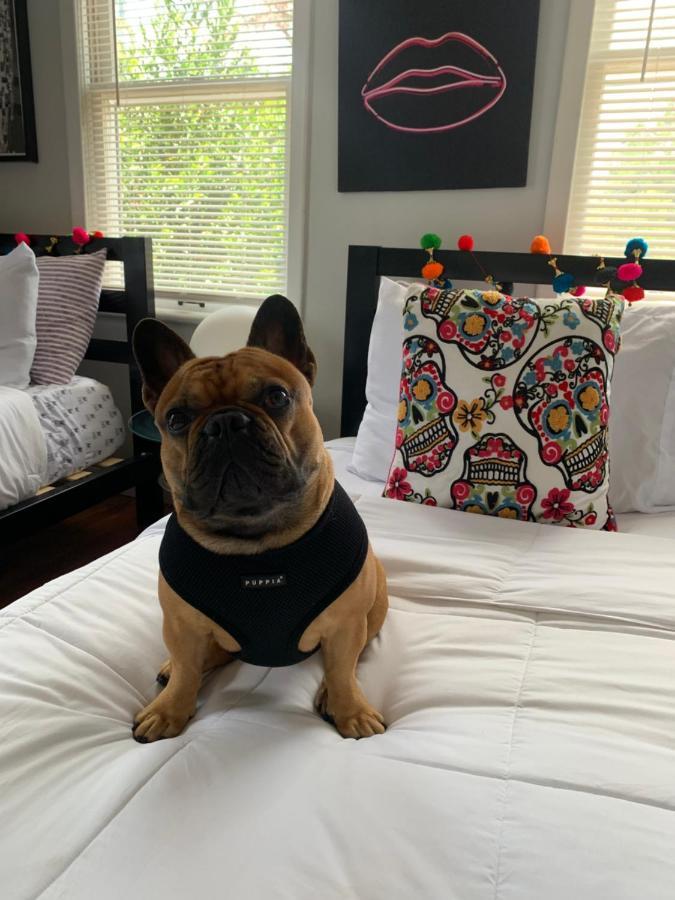 Vibing In The Heights/Breweries/Food/Petfriendly Villa Tampa Eksteriør billede